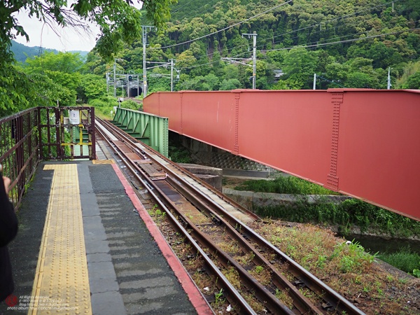P5270103_縮.JPG